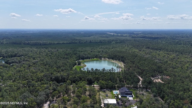 3212 Thunder Rd, Middleburg, FL 32068