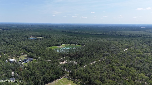 3212 Thunder Rd, Middleburg, FL 32068