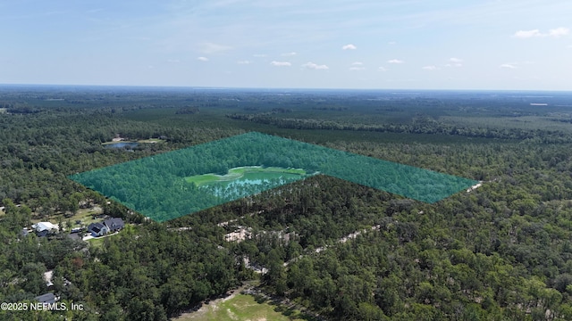 3212 Thunder Rd, Middleburg, FL 32068