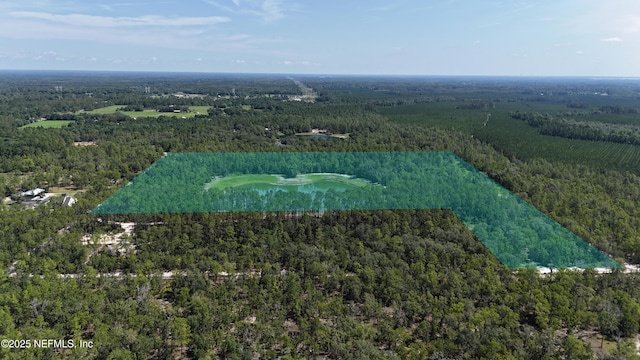 3212 Thunder Rd, Middleburg, FL 32068