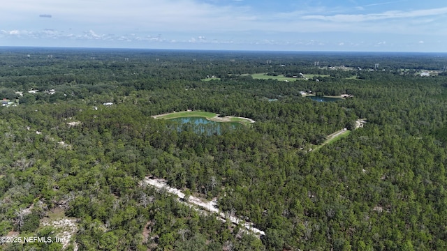 3212 Thunder Rd, Middleburg, FL 32068
