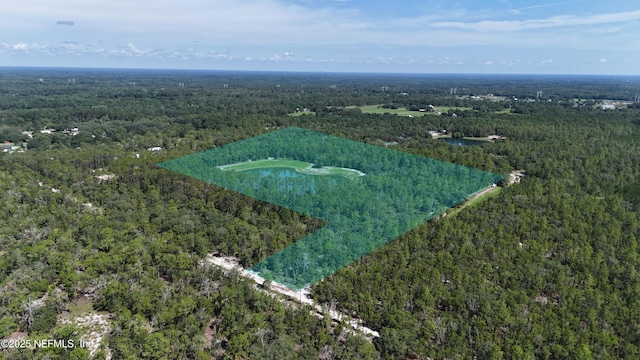 3212 Thunder Rd, Middleburg, FL 32068