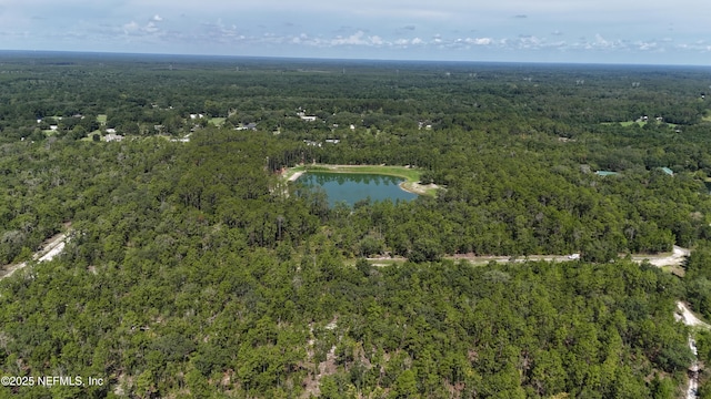 3212 Thunder Rd, Middleburg, FL 32068