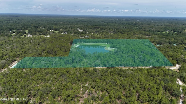 3212 Thunder Rd, Middleburg, FL 32068