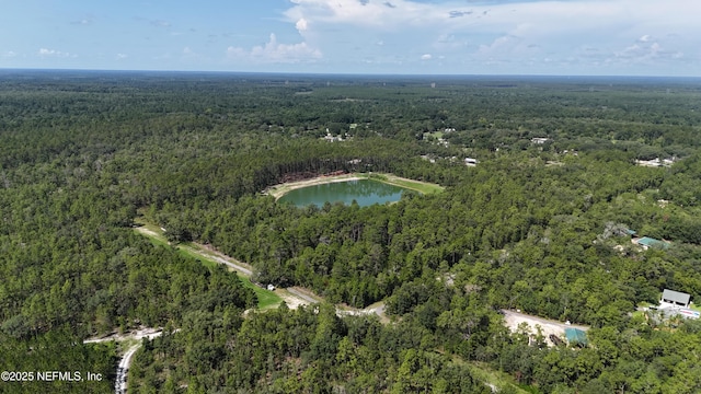3212 Thunder Rd, Middleburg, FL 32068