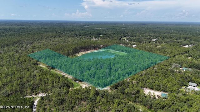 3212 Thunder Rd, Middleburg, FL 32068
