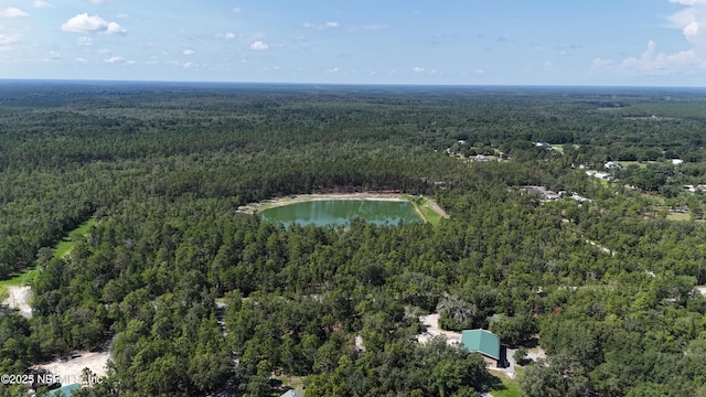 3212 Thunder Rd, Middleburg, FL 32068