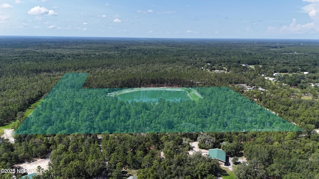 3212 Thunder Rd, Middleburg, FL 32068