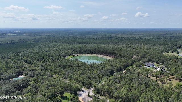 3212 Thunder Rd, Middleburg, FL 32068