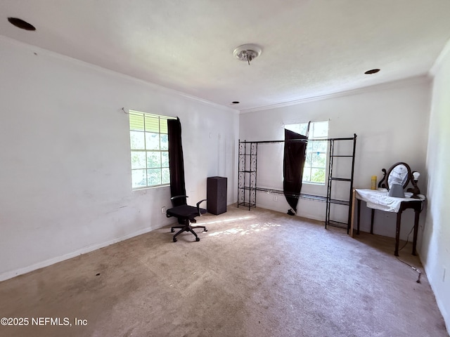 427 Crestwood St, Jacksonville, FL 32208 - office with ornamental molding and carpet floors