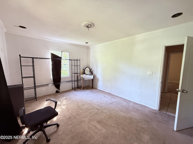 427 Crestwood St, Jacksonville, FL 32208 - bedroom featuring ornamental molding and carpet floors