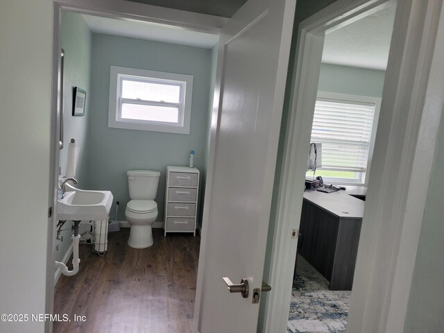 673 3rd Ave, Welaka, FL 32193 - photo 13