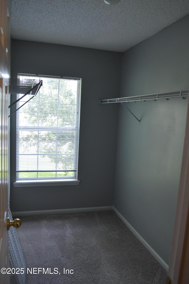 2759 Spencer Plantation Blvd, Orange Park, FL 32073 - photo 10