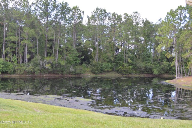 2759 Spencer Plantation Blvd, Orange Park, FL 32073 - photo 17