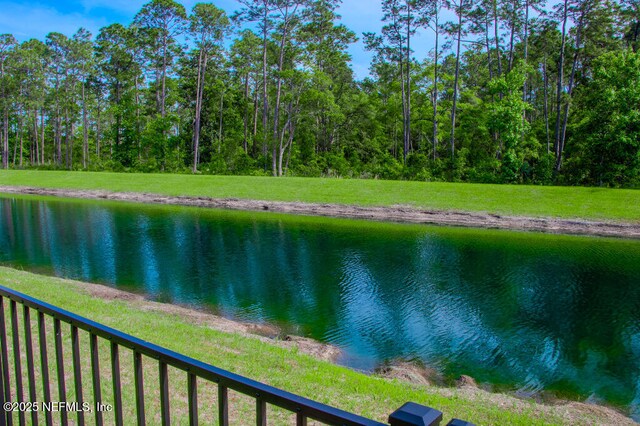 13168 Cameron Valley Ct, Jacksonville, FL 32256 - photo 18