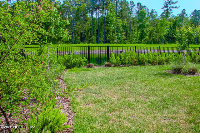 13168 Cameron Valley Ct, Jacksonville, FL 32256 - photo 20