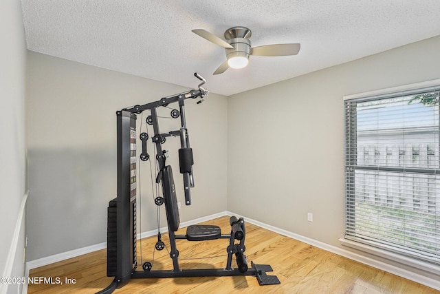 12137 Dividing Oaks Trl E, Jacksonville, FL 32223 - workout room with ceiling fan, a textured ceiling, and light wood-style floors