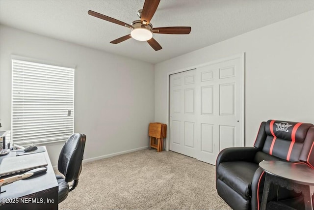 14687 Barred Owl Way, Jacksonville, FL 32259 - photo 25