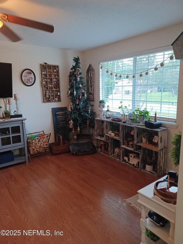 1030 Perkins Pl, Jacksonville, FL 32221 - photo 6