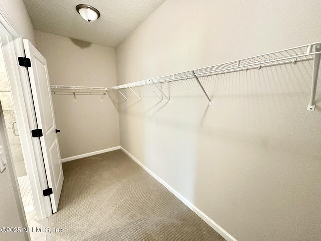 356 Bermudez Way, Saint Augustine, FL 32095 - spacious closet featuring carpet