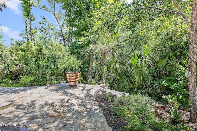 236 Chasewood Dr, Saint Augustine, FL 32095 - photo 26