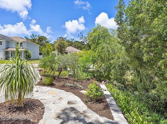 236 Chasewood Dr, Saint Augustine, FL 32095 - photo 4