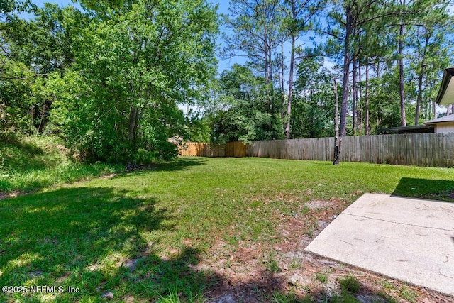 3717 Carol Ann Ln, Jacksonville, FL 32223 - photo 44