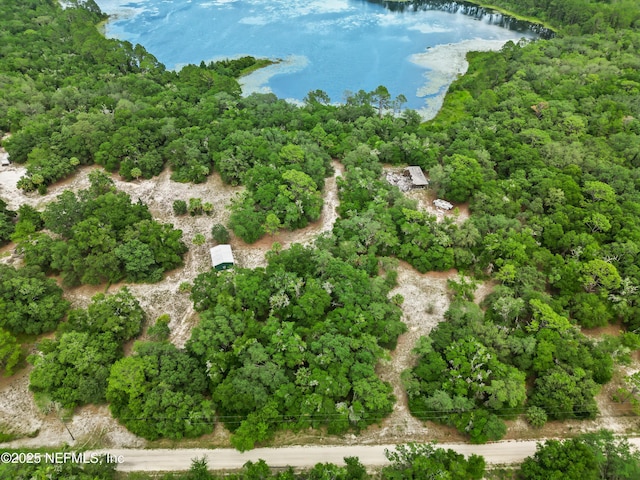 142 Porpoise Rd, Pomona Park, FL 32181 - photo 2