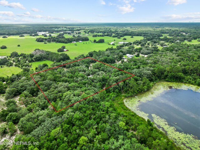 142 Porpoise Rd, Pomona Park, FL 32181 - photo 8