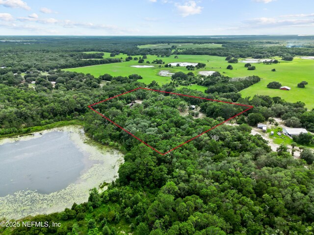 142 Porpoise Rd, Pomona Park, FL 32181 - photo 11