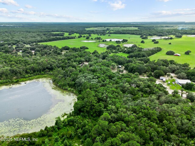 142 Porpoise Rd, Pomona Park, FL 32181 - photo 12