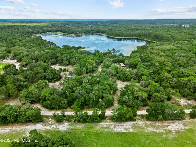 142 Porpoise Rd, Pomona Park, FL 32181 - photo 16