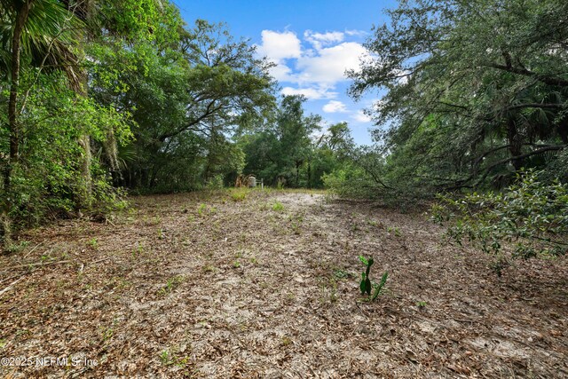 142 Porpoise Rd, Pomona Park, FL 32181 - photo 28