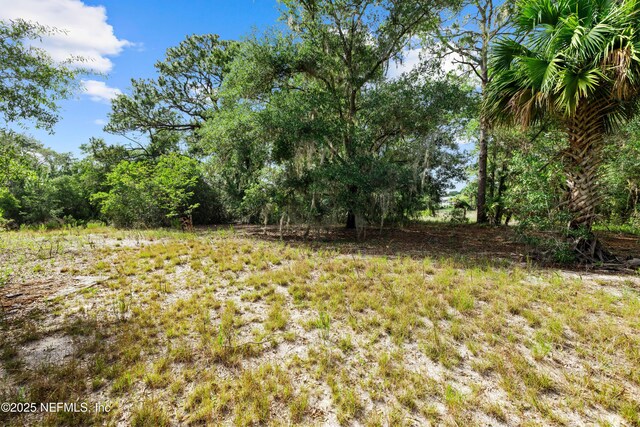 142 Porpoise Rd, Pomona Park, FL 32181 - photo 29