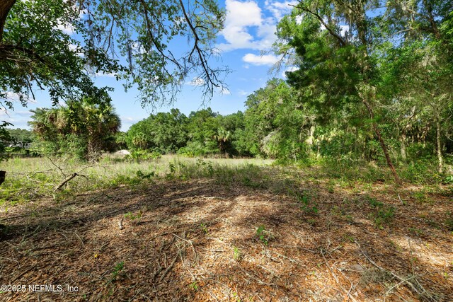 142 Porpoise Rd, Pomona Park, FL 32181 - photo 31