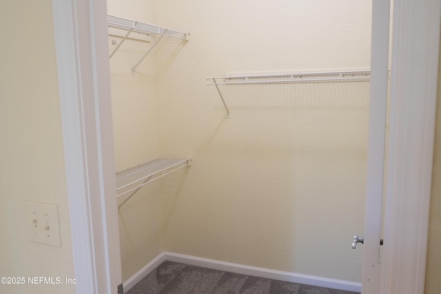 10075 Gate Pkwy Unit 1313, Jacksonville, FL 32246 - photo 11