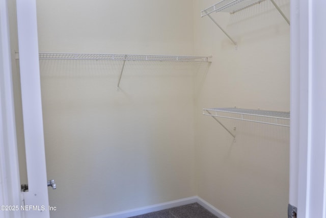 10075 Gate Pkwy Unit 1313, Jacksonville, FL 32246 - photo 20