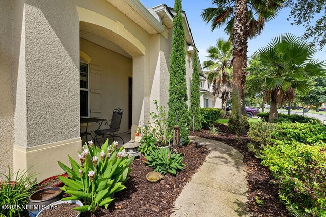 4612 Golf Brook Rd, Orange Park, FL 32065 - photo 4
