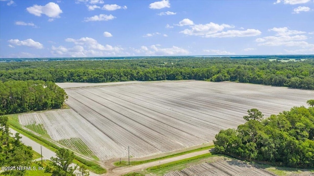 233 E River Rd, East Palatka, FL 32131 - photo 1