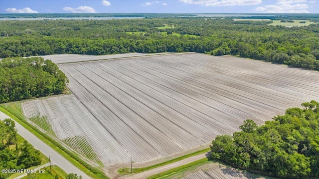 233 E River Rd, East Palatka, FL 32131 - photo 2