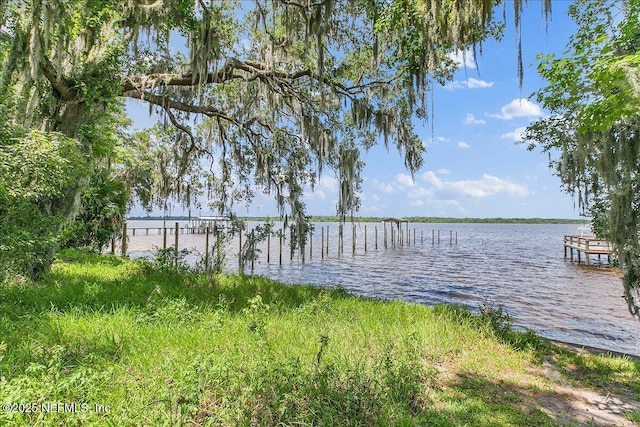 233 E River Rd, East Palatka, FL 32131 - photo 18