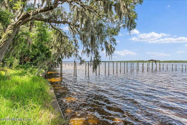 233 E River Rd, East Palatka, FL 32131 - photo 19