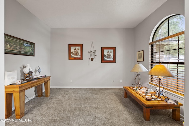 602 Hibernia Oaks Dr, Fleming Island, FL 32003 - photo 8