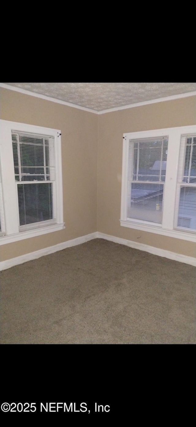 425 W 21st St, Jacksonville, FL 32206 - photo 7