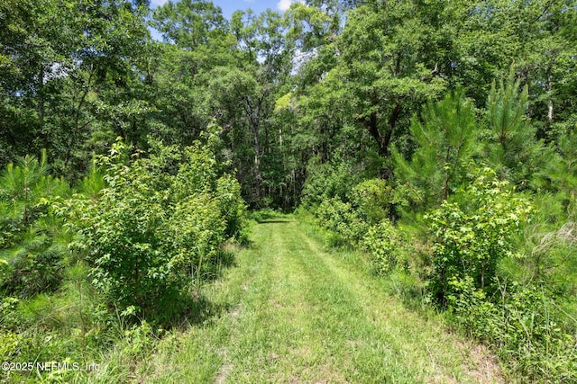37854 Kings Ferry Rd, Hilliard, FL 32046 - photo 57