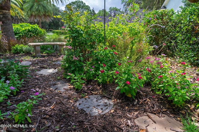 13464 Ellsworth Ln, Jacksonville, FL 32225 - view of yard