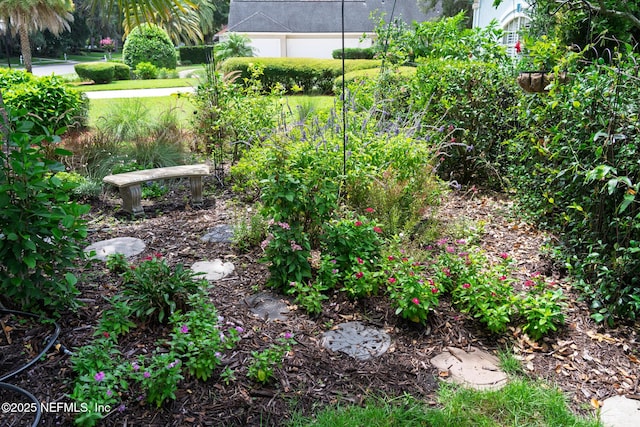 13464 Ellsworth Ln, Jacksonville, FL 32225 - view of yard