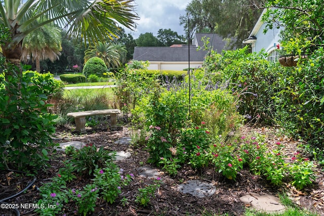 13464 Ellsworth Ln, Jacksonville, FL 32225 - view of yard