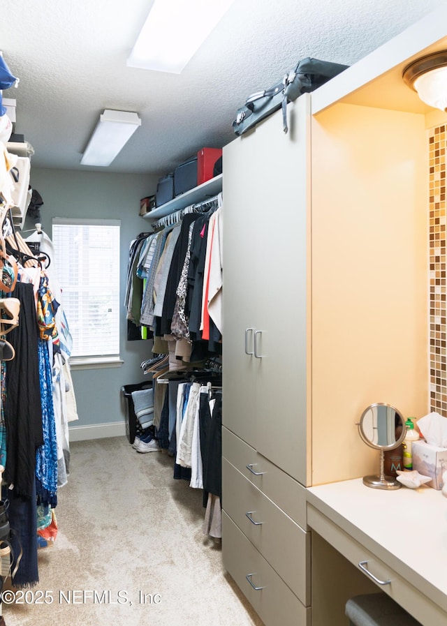 13464 Ellsworth Ln, Jacksonville, FL 32225 - walk in closet with light carpet
