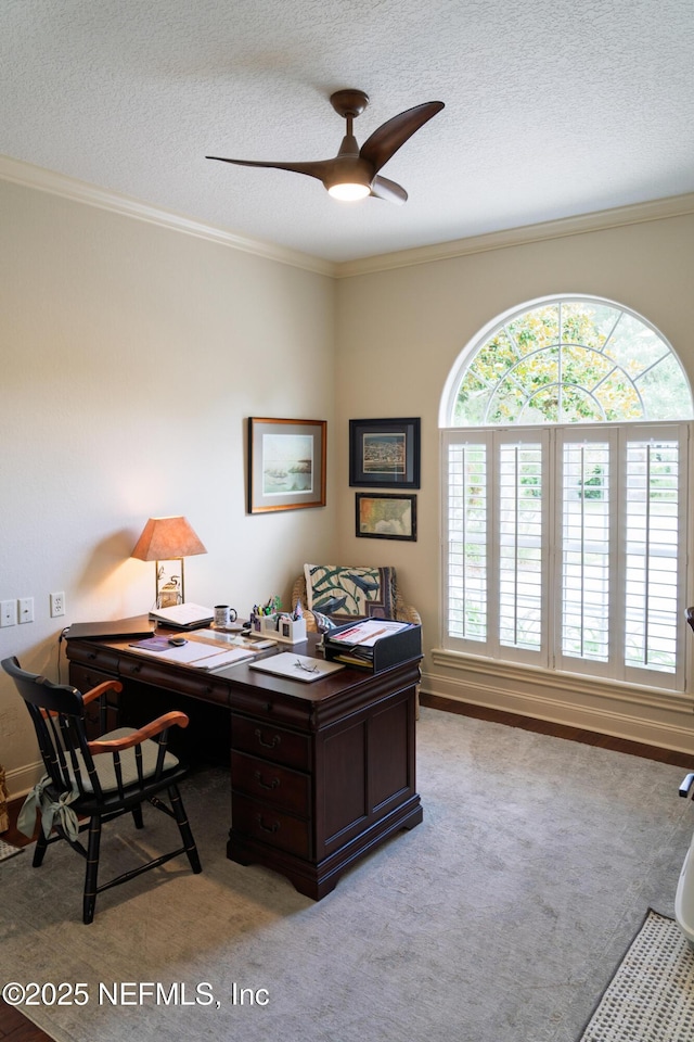 13464 Ellsworth Ln, Jacksonville, FL 32225 - carpeted office with a ceiling fan, ornamental molding, and a textured ceiling